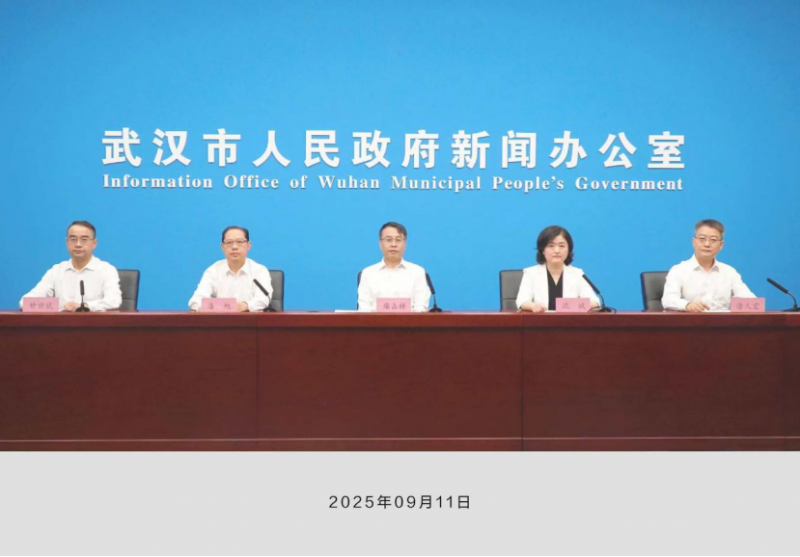 第二十五届武汉国际车展焕新启航(1)2540