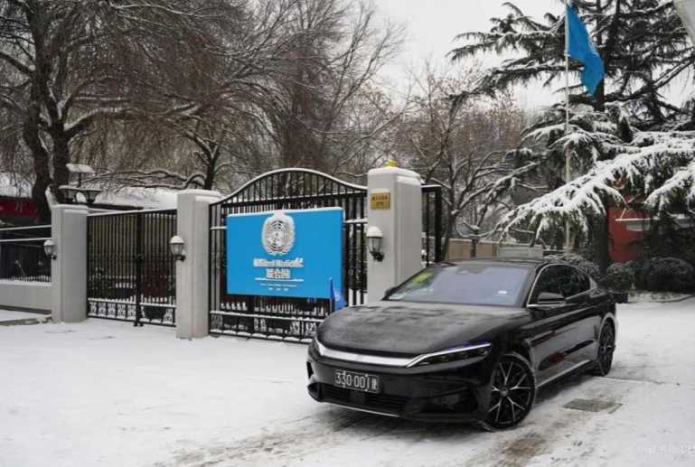 新闻通稿:比亚迪在海外也有编了264