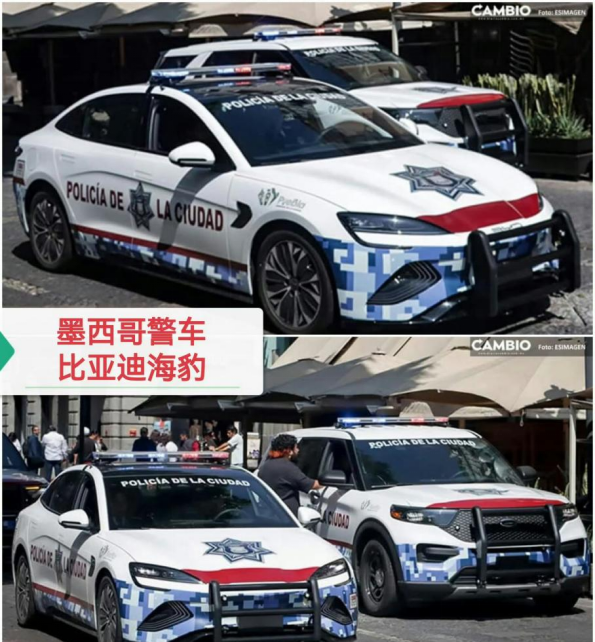 新闻通稿:比亚迪在海外也有编了324