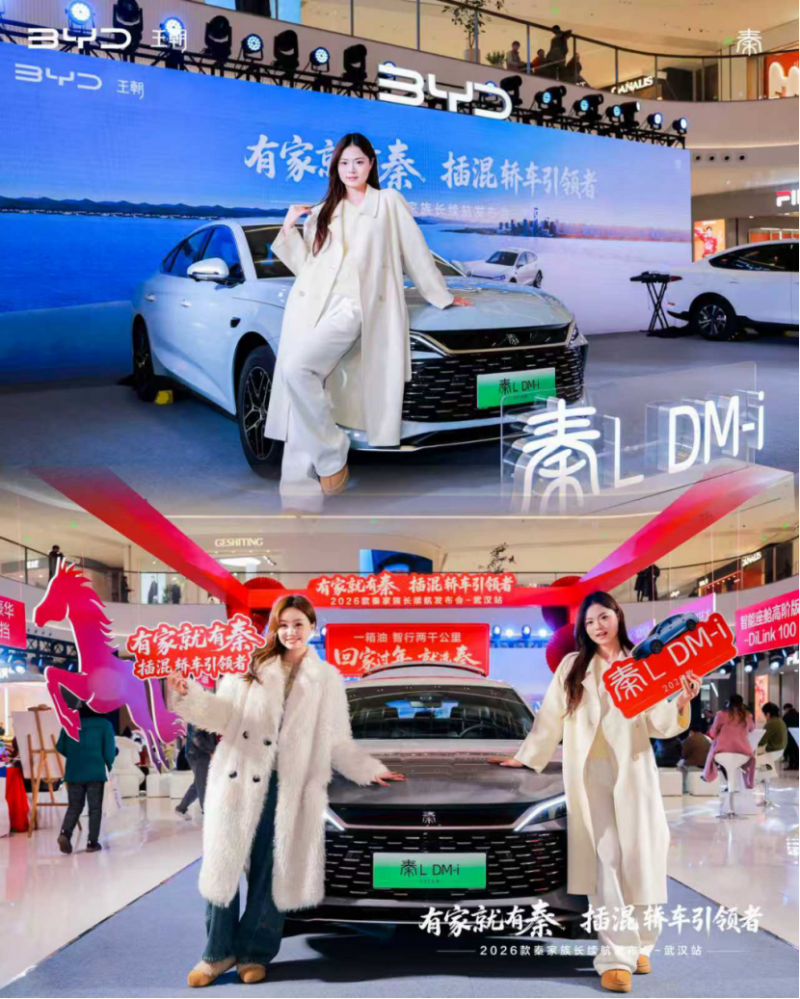 比亚迪秦 家族1831